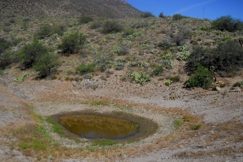 Bad stagnant water source
