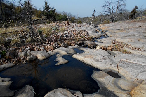 Good stagnant water source