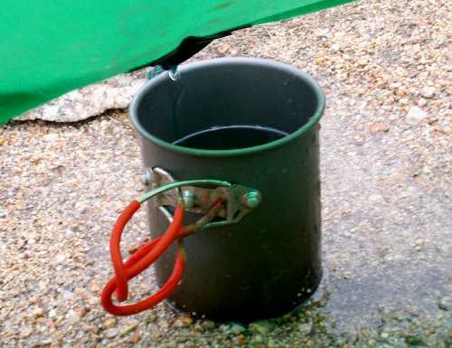 Harvesting rainwater