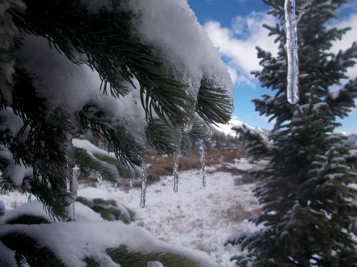 Harvesting snow