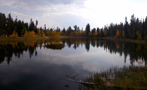 Harvard Lake