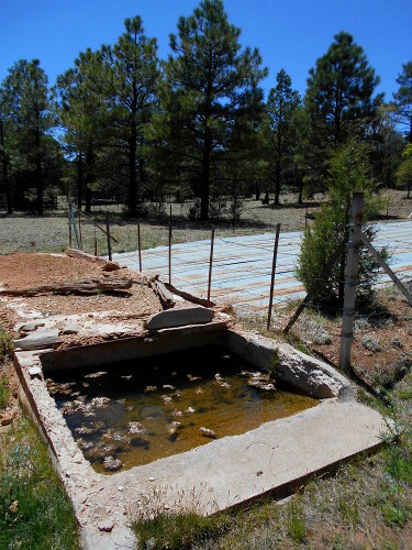 Wildlife water tank