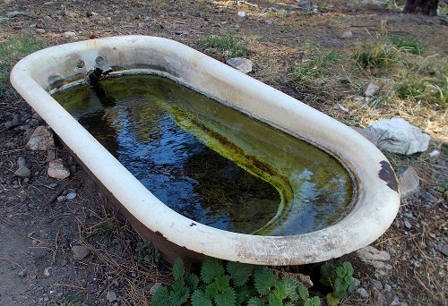 Bathtub Spring